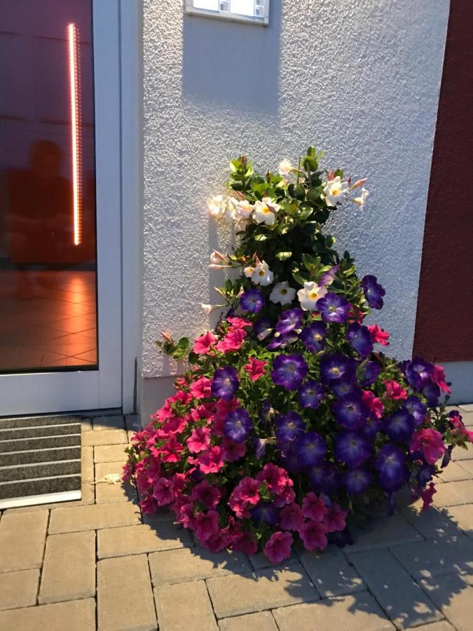 Ferienwohnungen Am Feldrain - Gornau Im Erzgebirge Zschopau Luaran gambar