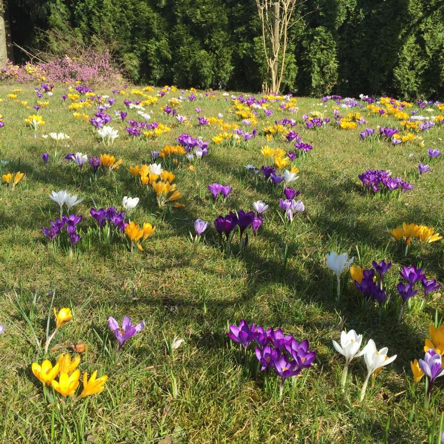Ferienwohnungen Am Feldrain - Gornau Im Erzgebirge Zschopau Luaran gambar